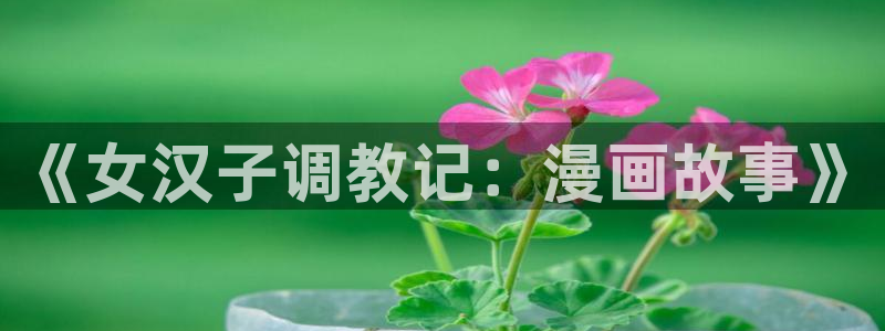 贝勒漫画网页版在哪里